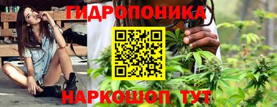 соль ск Моздок