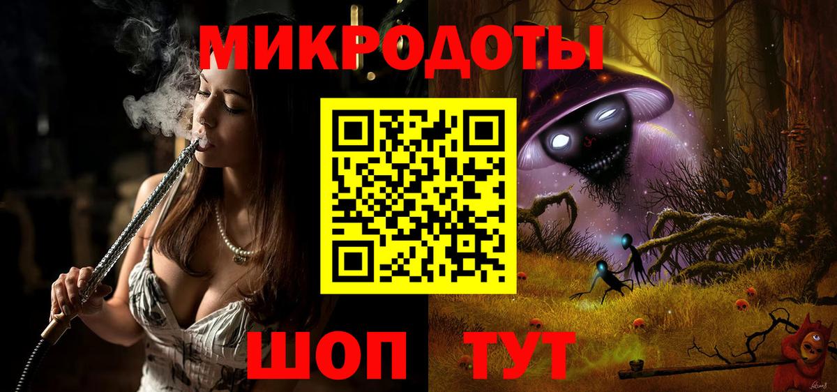 Галлюциногенные грибы Psilocybe Губкинский