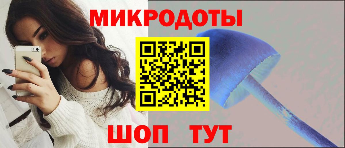 Псилоцибиновые грибы прущие грибы  Вход с VPN  Галлюциногенные грибы Psilocybine cubensis  Губкинский 